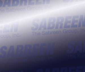 The Sabreen Group, Inc.